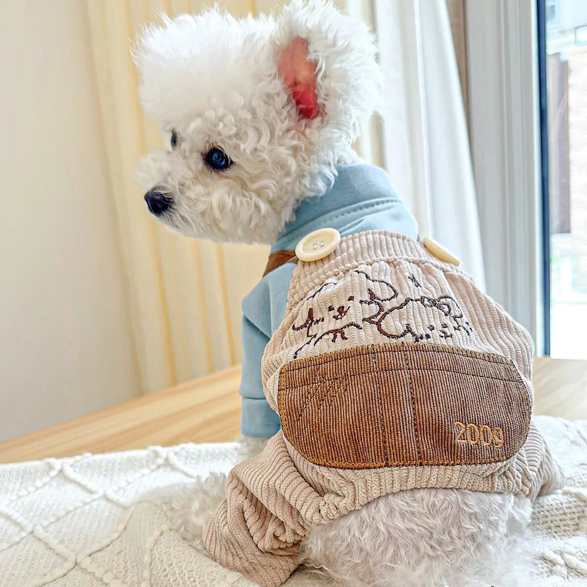 Dog Clothes Pet Clothing Autumn and Winter Casual Carrier Pants