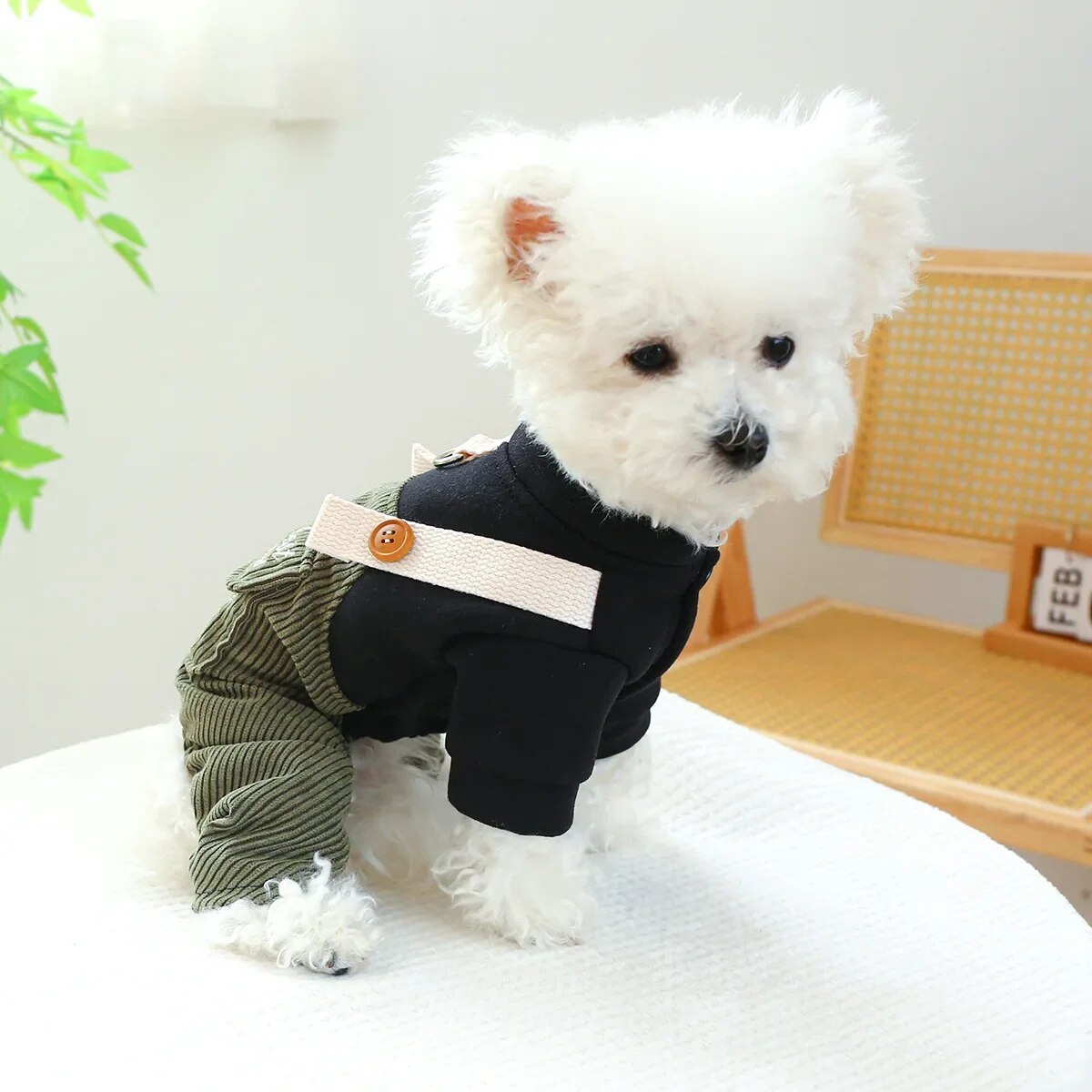 Dog Clothes Pet Clothing Autumn and Winter Casual Carrier Pants