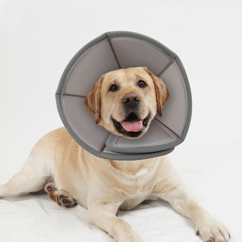 Dog Collars Cat Elizabethan Collar Pet Dog Neck Cone Recovery Anti-bite Collar