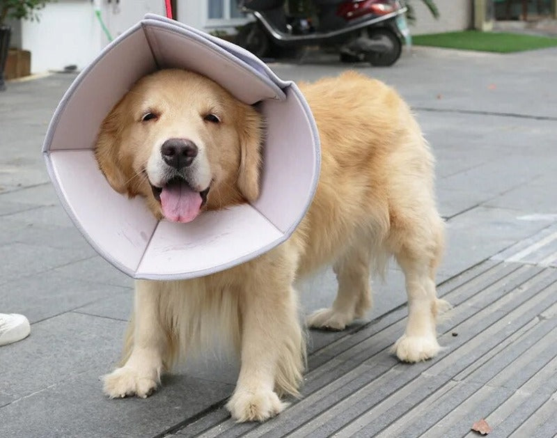 Dog Collars Cat Elizabethan Collar Pet Dog Neck Cone Recovery Anti-bite Collar