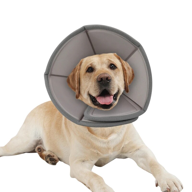 Dog Collars Cat Elizabethan Collar Pet Dog Neck Cone Recovery Anti-bite Collar