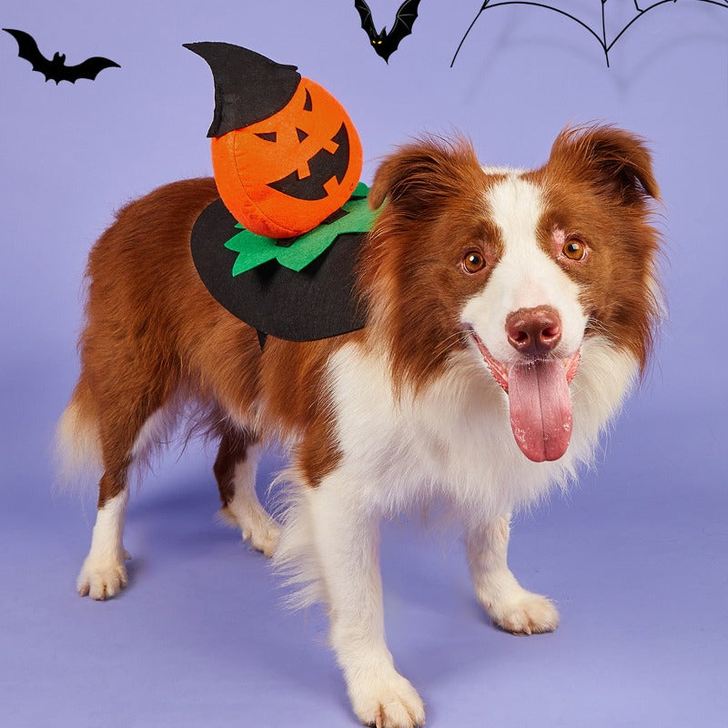 Dog Costumes Dogs Cosplay Costumes