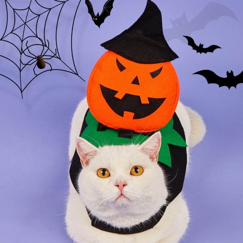 Dog Costumes Dogs Cosplay Costumes