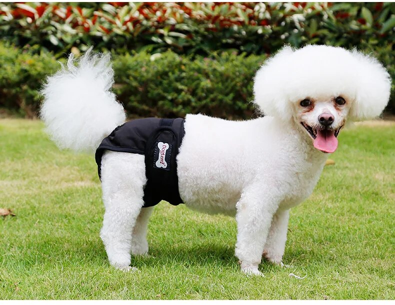 Dog Diaper Shorts Dog Physiological Pants Underwear Briefs