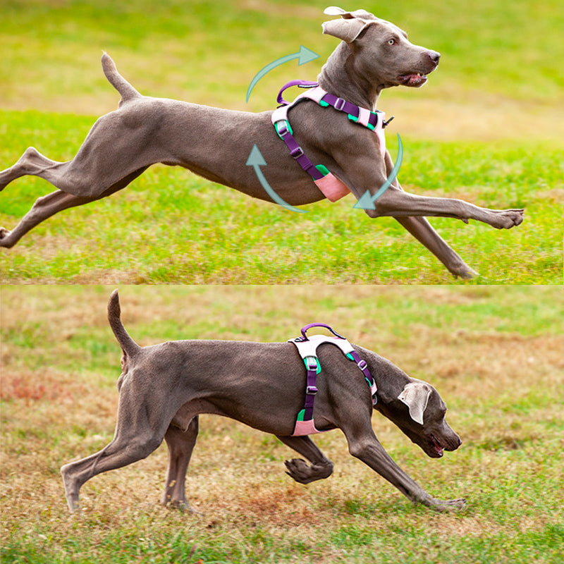 Dog Harness Adjustable Liftable Harness Reflective Pet Leads Vest