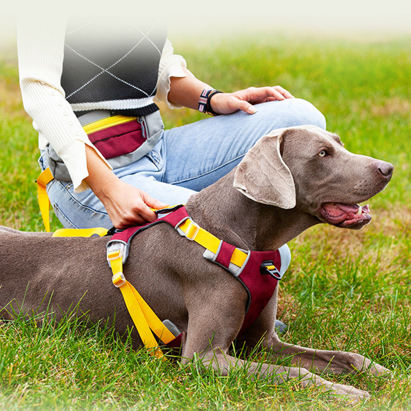 Dog Harness Adjustable Liftable Harness Reflective Pet Leads Vest