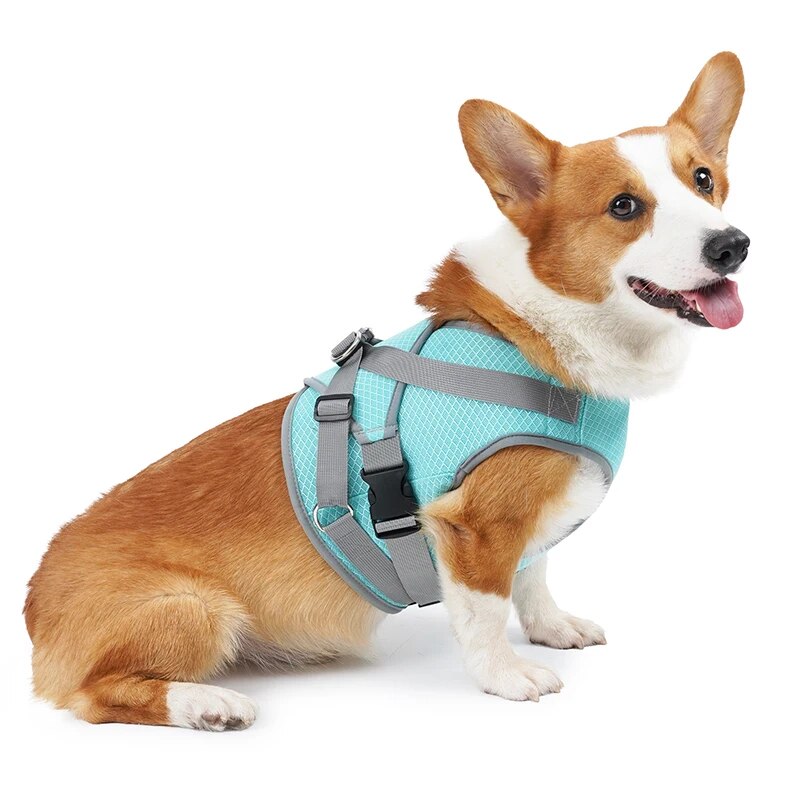 Dog Cooling Harness Mesh Dog Cooling Vest with D-Ring Adjustable Straps