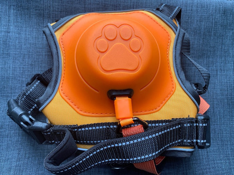 Dog Harness with Retractable Dog Leash