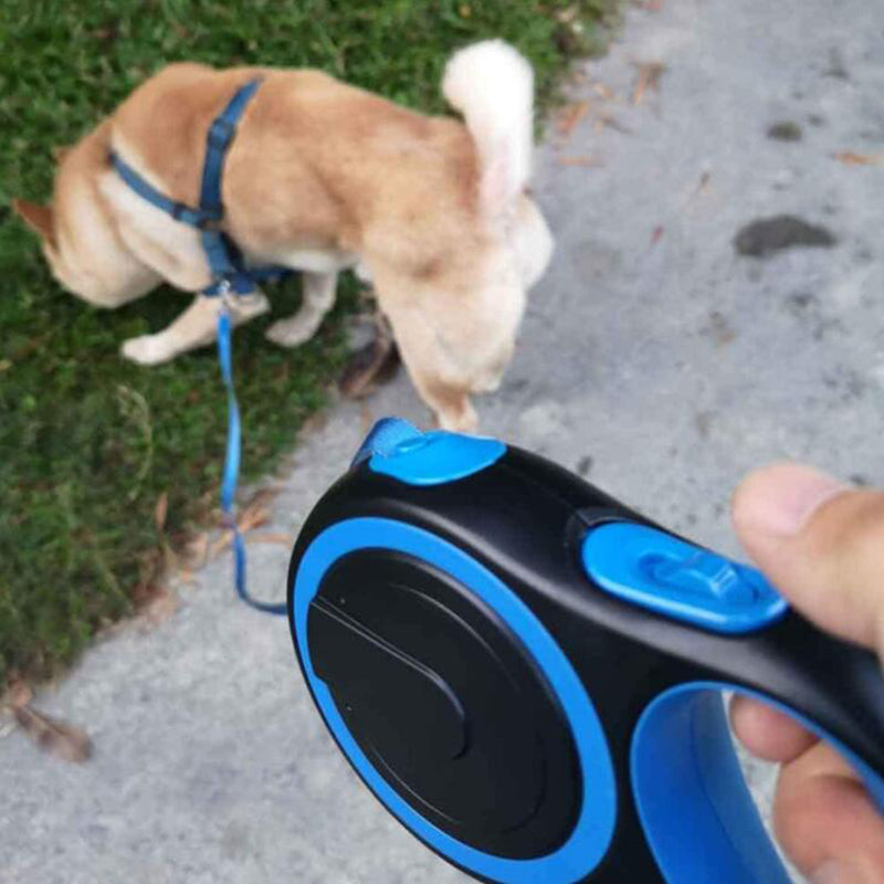Dog Leash Automatic Retractable Pet Dog Cat Leash Dog Walking Leash