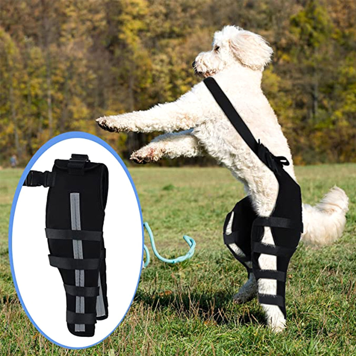 Dog Leg Reflective Dog Bandages  Adjustable Dog Leg Knee Brace Straps