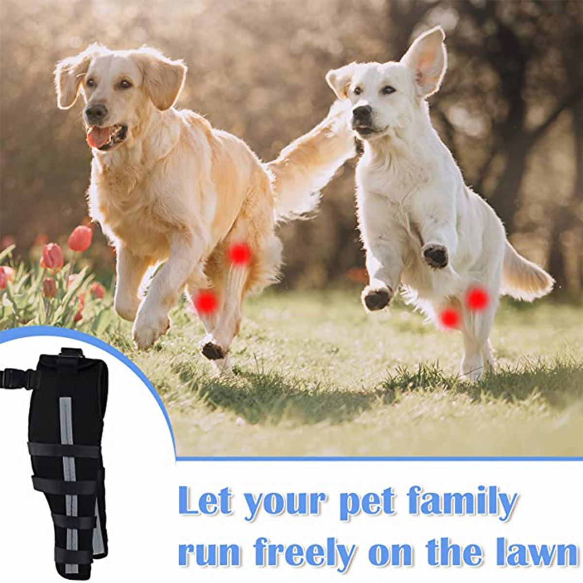 Dog Leg Reflective Dog Bandages  Adjustable Dog Leg Knee Brace Straps