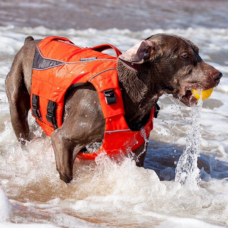 Dog Life Jacket With High Buoyancy For Medium Large Dog