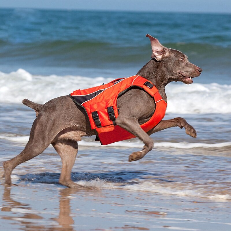 Dog Life Jacket With High Buoyancy For Medium Large Dog