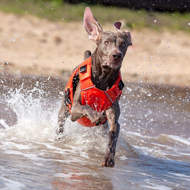 Dog Life Jacket With High Buoyancy For Medium Large Dog