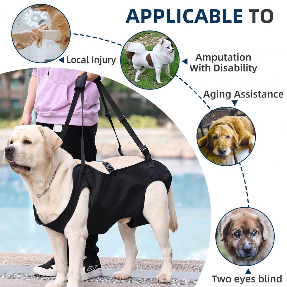 Dog Lift Harness For Large Dogs Sling Dog Walking Assistance Adjustable Pet Support Harness