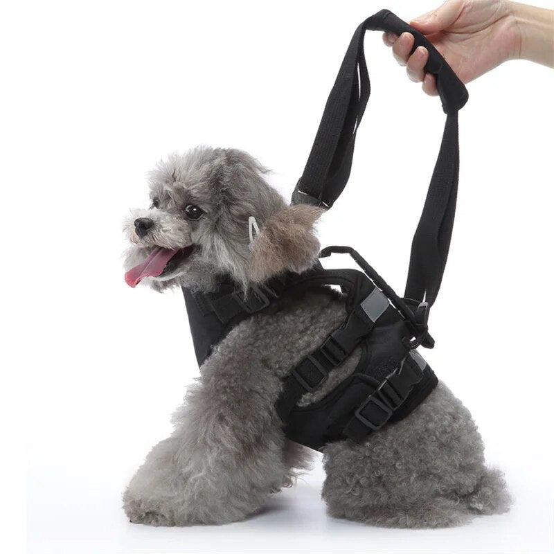 Dog Lift Harness Pet Dog Recovery Rehabilitation Sling