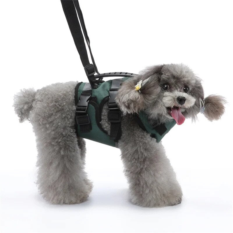 Dog Lift Harness Pet Dog Recovery Rehabilitation Sling