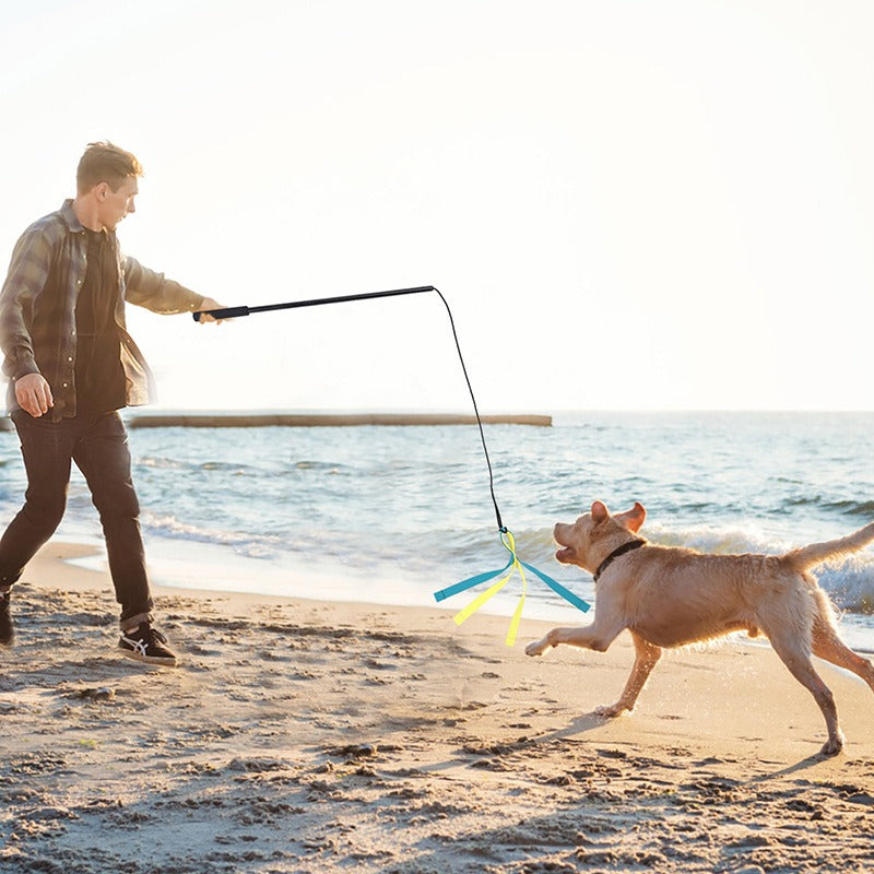 Dog Outdoor Toy Detechable Teaser Wand Pet Flirt Stick Pole For Training Exercise