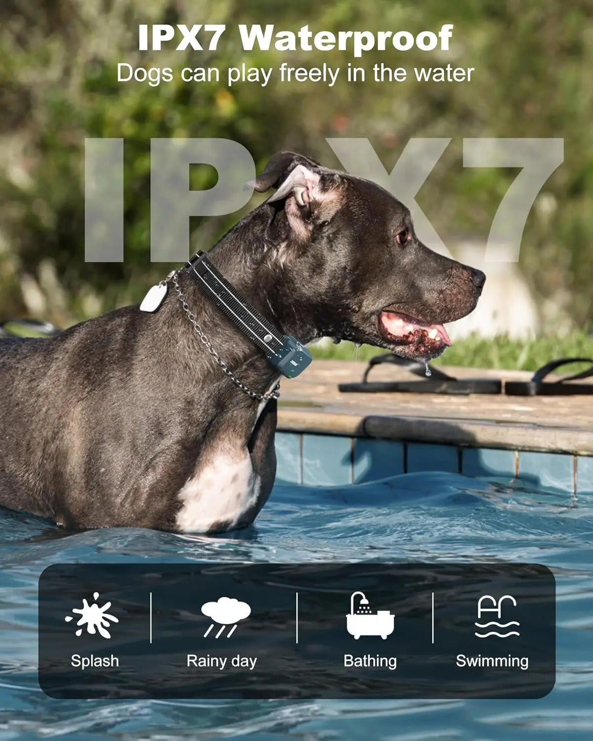 Dog Training Collar with Remote Dog Shock Collar 2 Dogs with 4 Training Modes