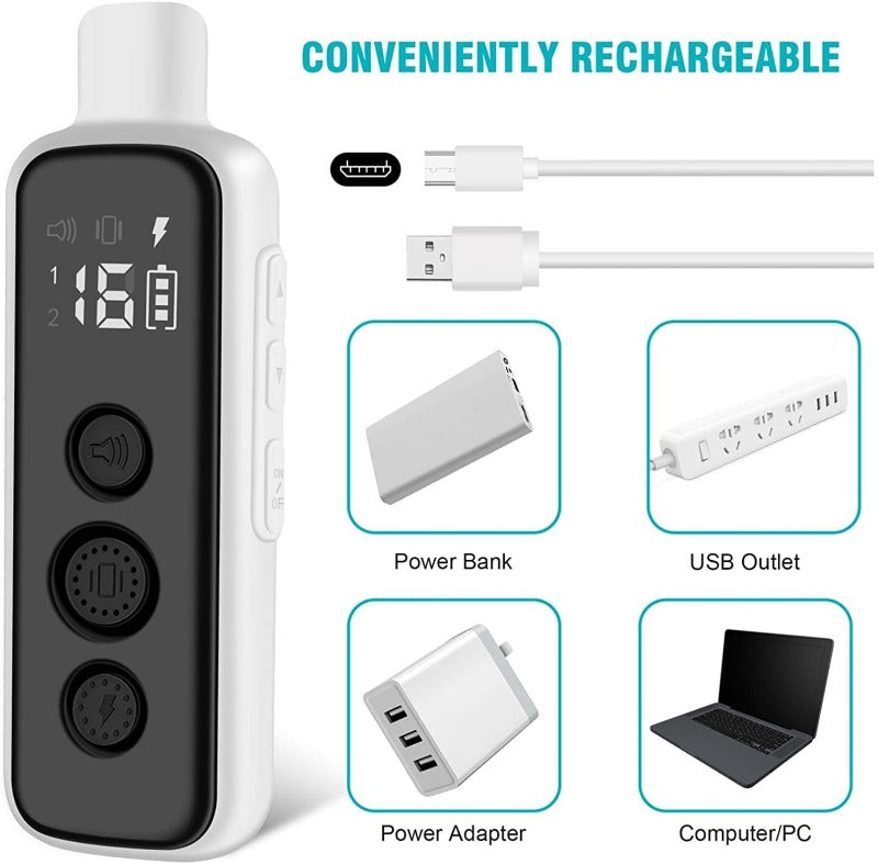 Waterproof Rechargeable Electric Dog Training Collar with Remote Dog Shock Collar