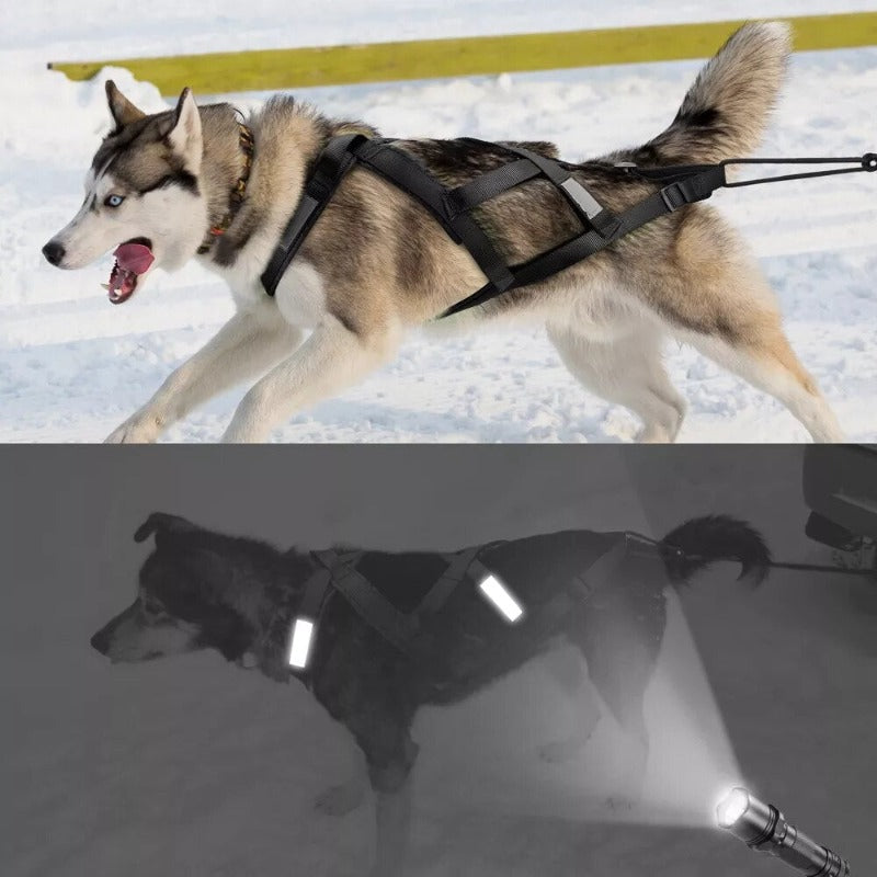 Dog Sled Harness Reflective Dog Weight Pulling Harnesses