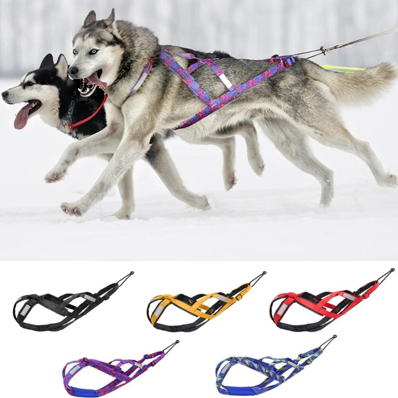 Dog Sled Harness Reflective Dog Weight Pulling Harnesses