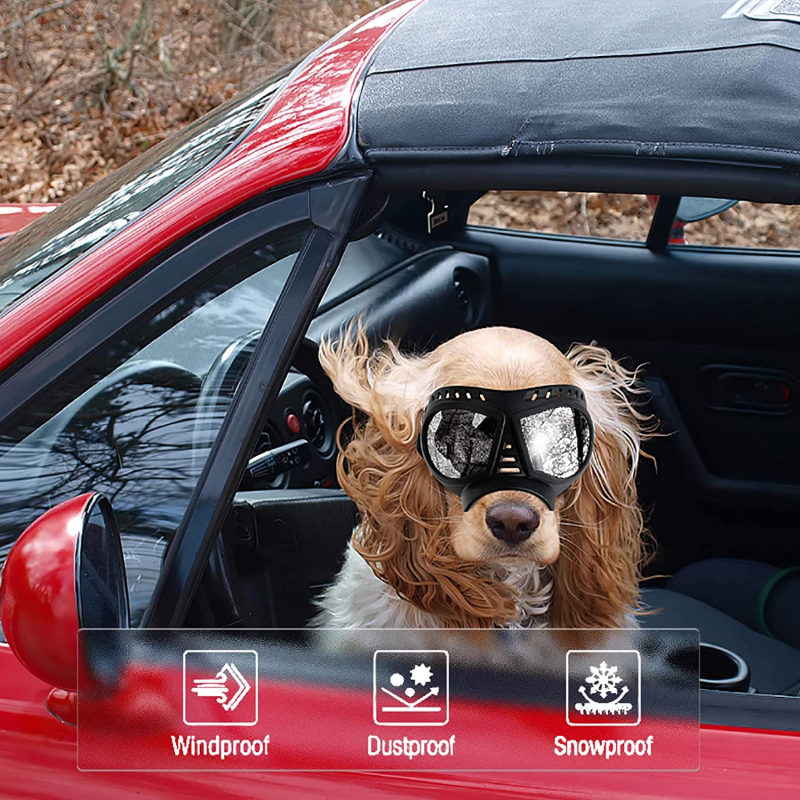 Dog Goggles Large Breed Windproof Dog Goggles For Large Dogs