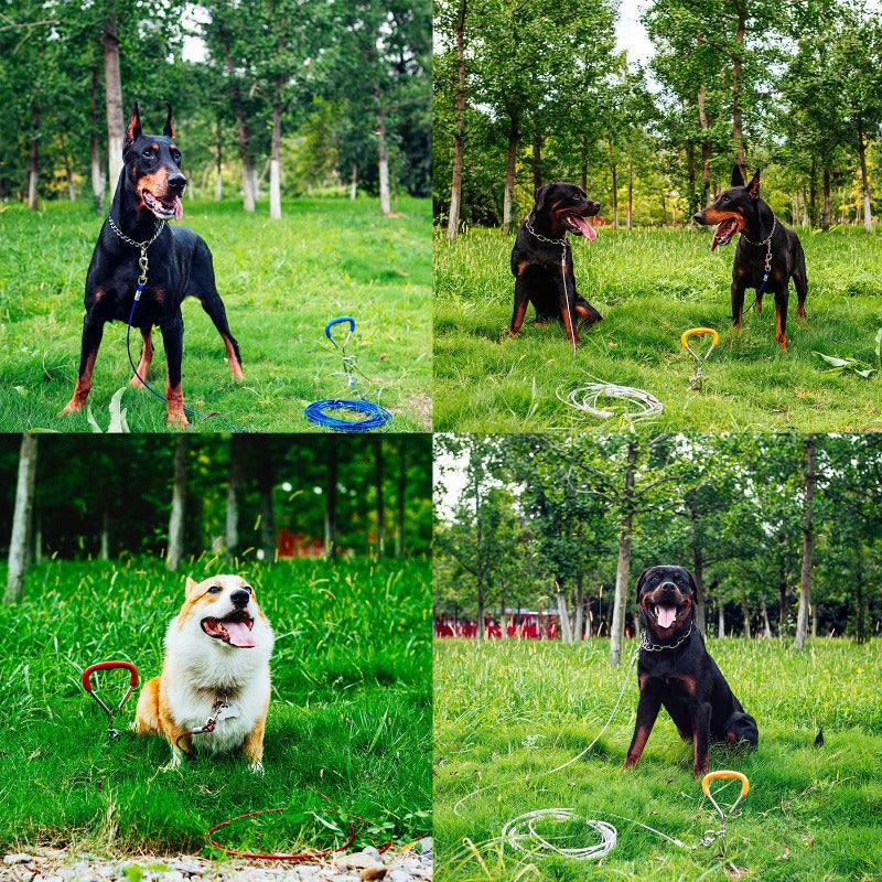 Outdoor Dog Fixed Pile Dog Tie Out Cable and Stake