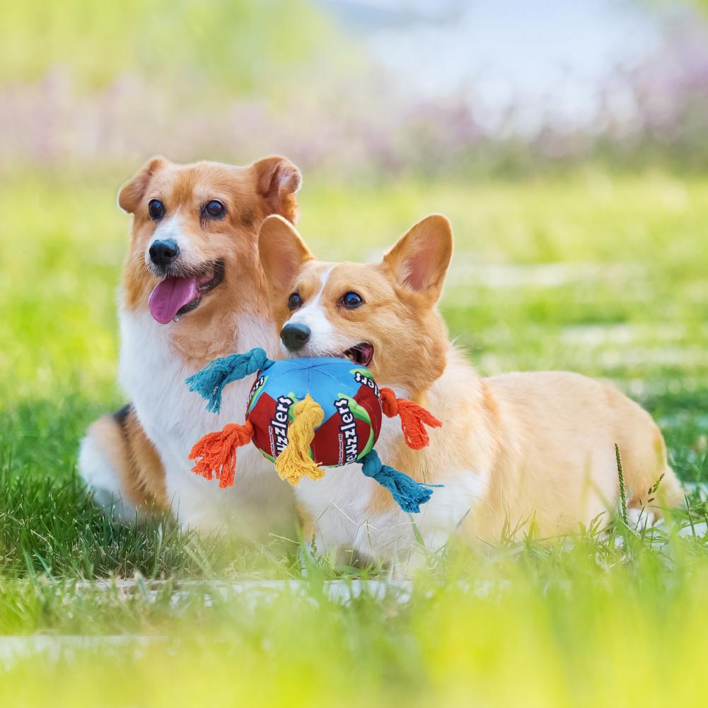 Dog Sniffing Toys Soft Snuffle Chewable Ball Toys
