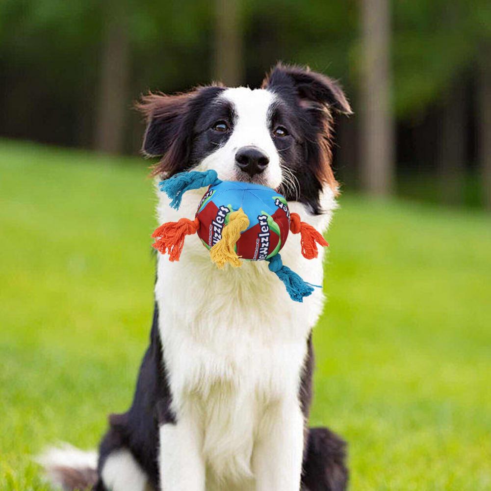 Dog Sniffing Toys Soft Snuffle Chewable Ball Toys