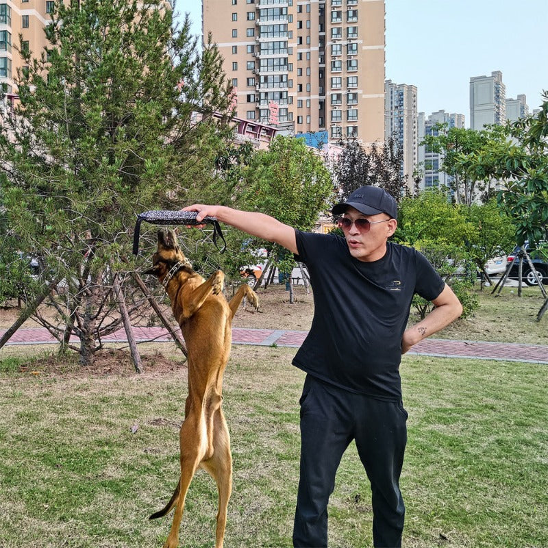 Dog Training Bite Tug Pillow Sleeve with 2 Rope Handles