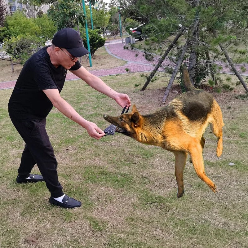 Dog Training Bite Tug Pillow Sleeve with 2 Rope Handles