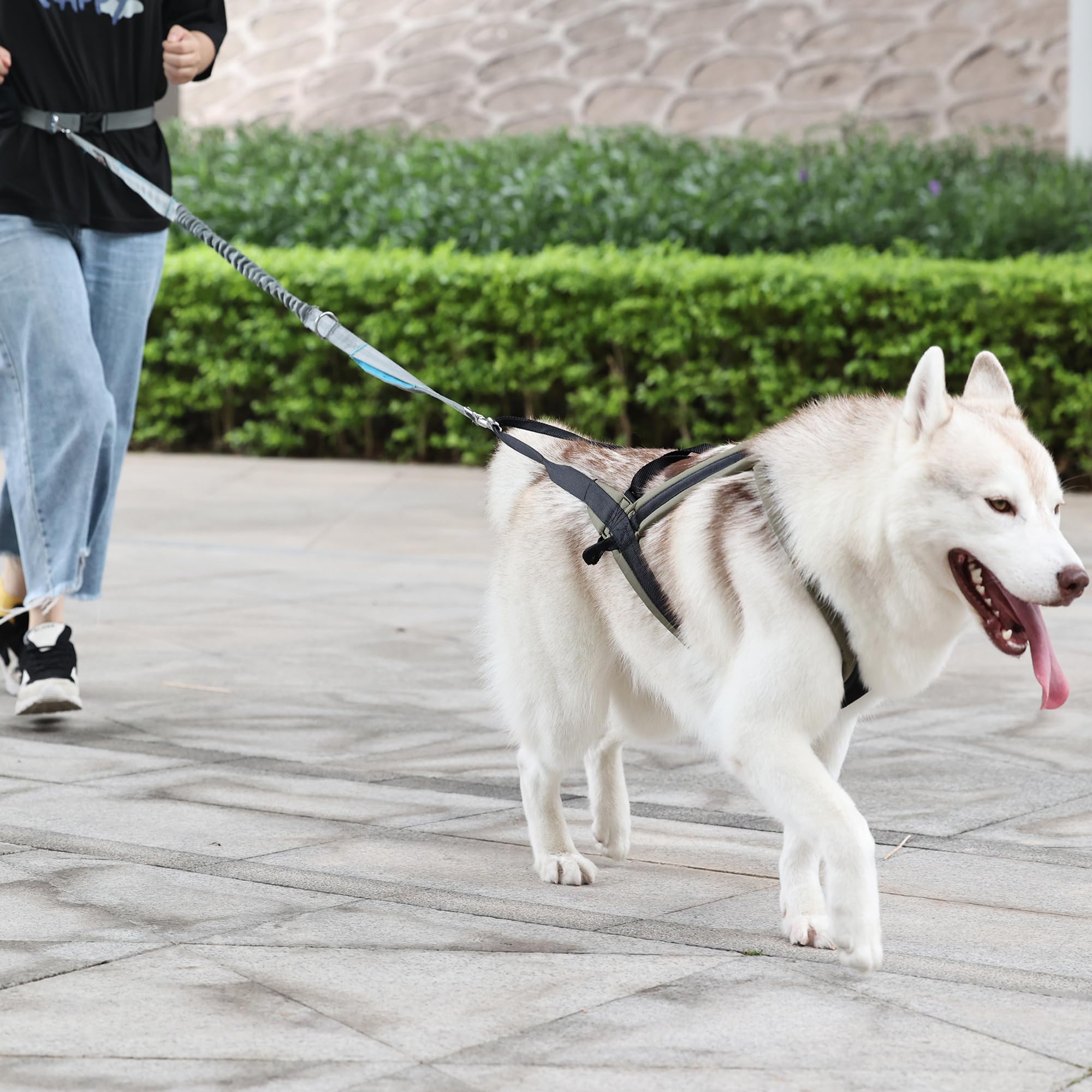 Dog Weight Pulling Harness Waterproof Dog Sled Harness with Adjustable Strap