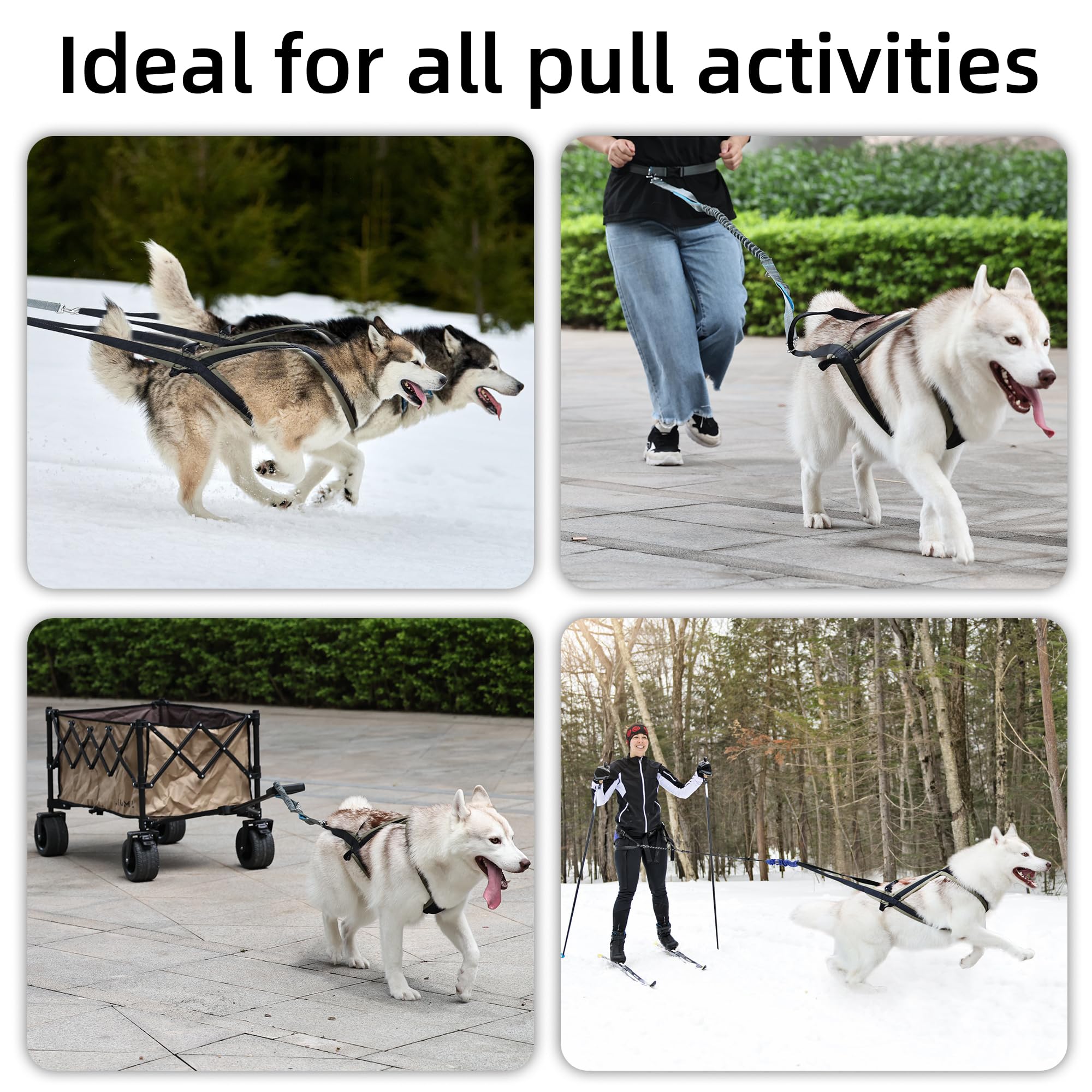 Dog Weight Pulling Harness Waterproof Dog Sled Harness with Adjustable Strap