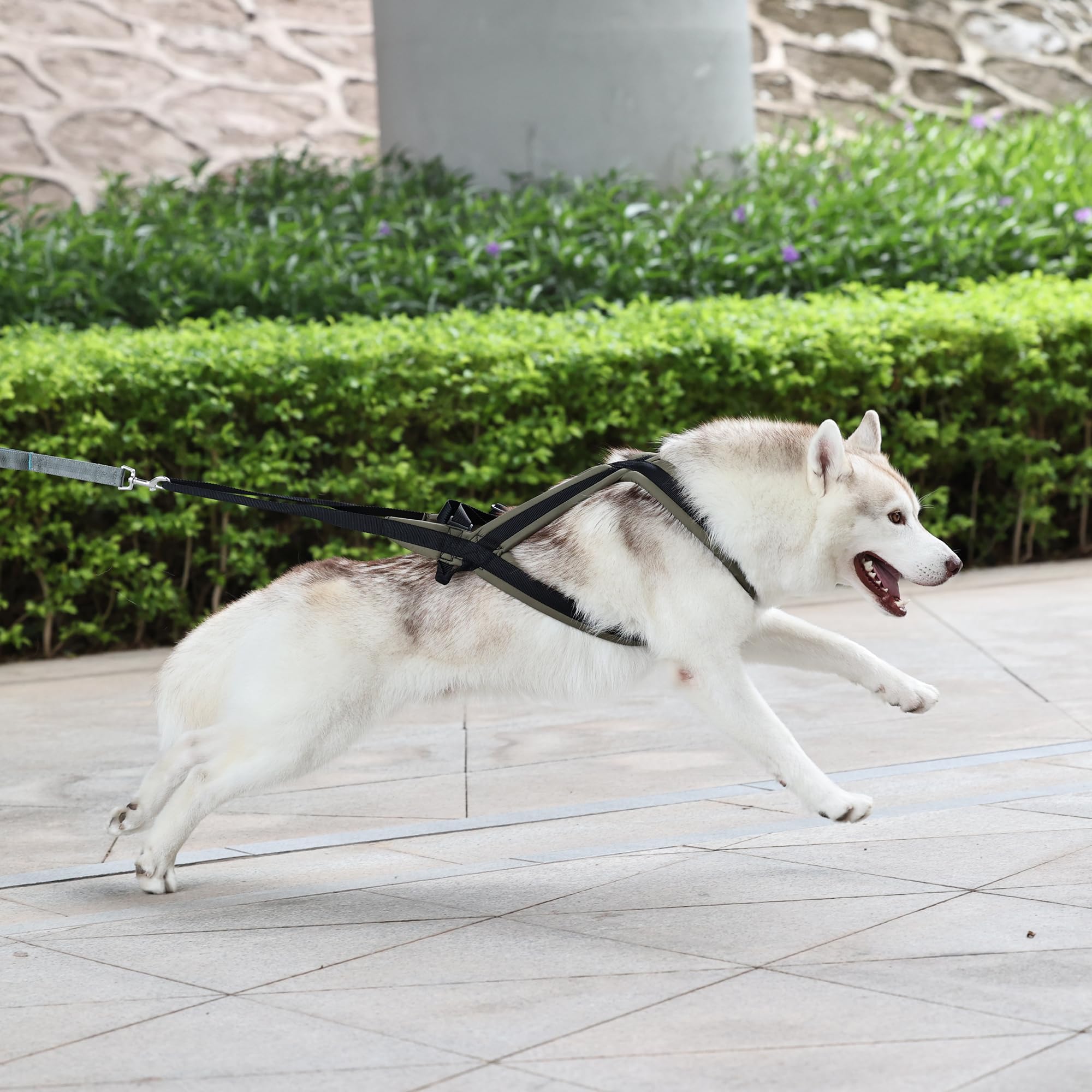 Dog Weight Pulling Harness Waterproof Dog Sled Harness with Adjustable Strap