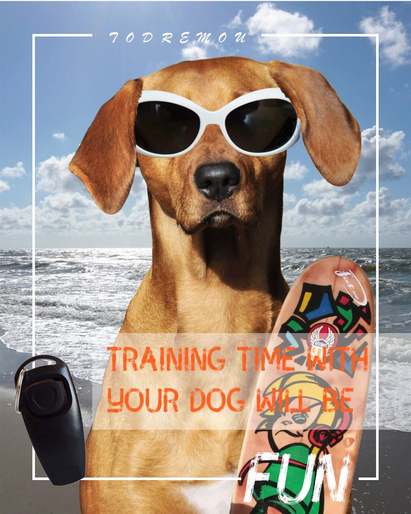 2in1 Dog Whistle Dog Clicker Set