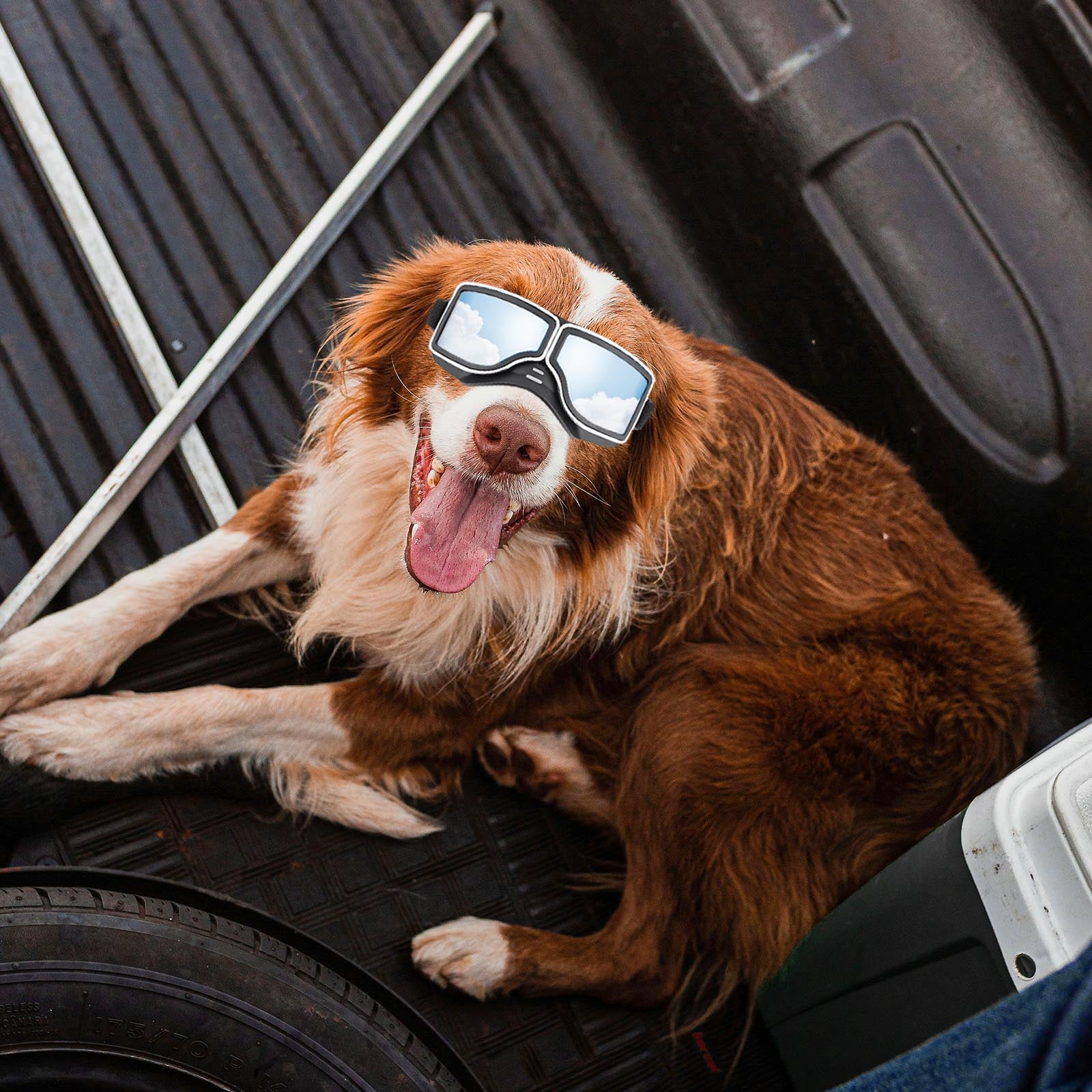 1Set Dog Goggles Medium-Large Dog Sunglasses Anti-dust Windproof Dog Goggles
