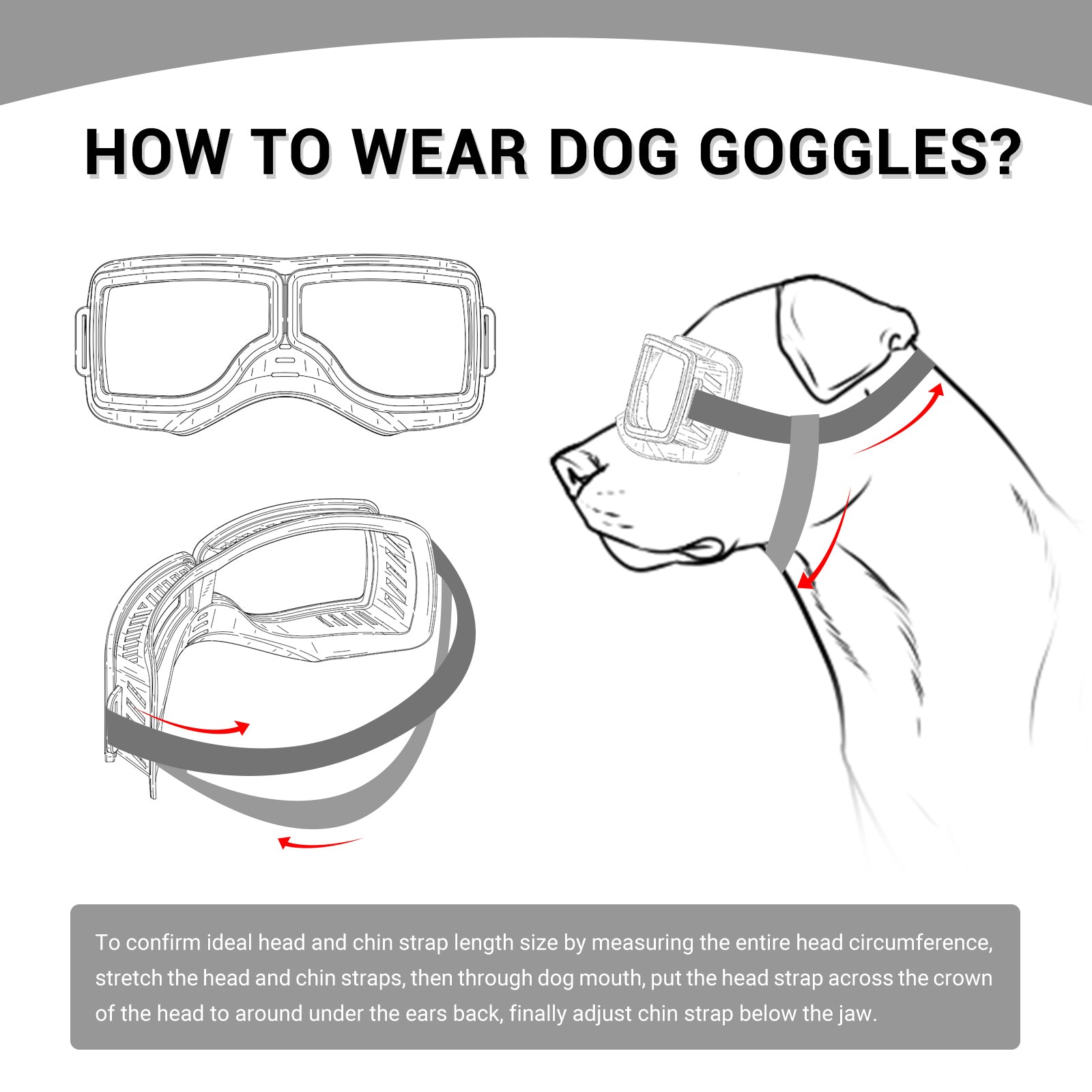 1Set Dog Goggles Medium-Large Dog Sunglasses Anti-dust Windproof Dog Goggles