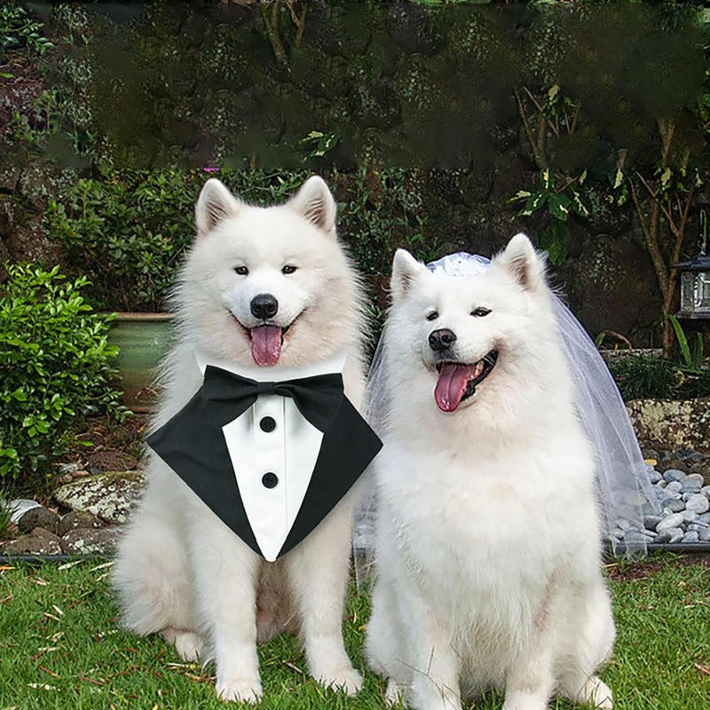 Dog Tuxedo Bandana Dog Costumes Bow Tie