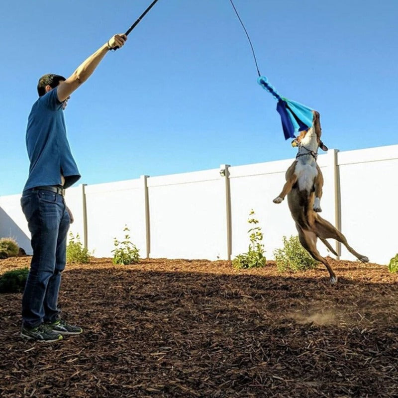 Dogs Flirt Lure Pole Stick Dog Extendable Teaser