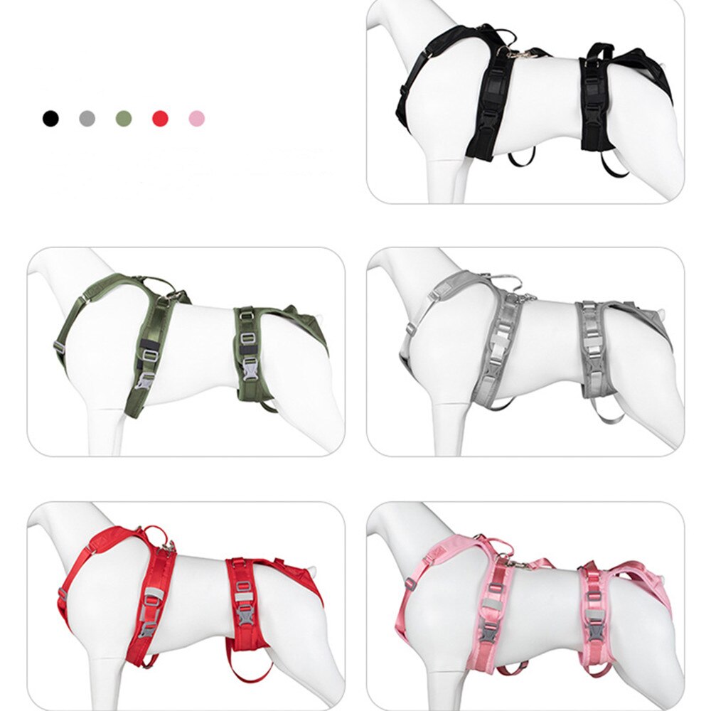 Dog Split Auxiliary Harness & Leash Set Pet Dog Front and Rear Legs Walking Assistance Belt