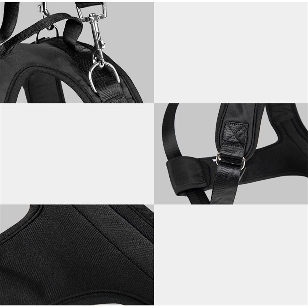 Dog Split Auxiliary Harness & Leash Set Pet Dog Front and Rear Legs Walking Assistance Belt