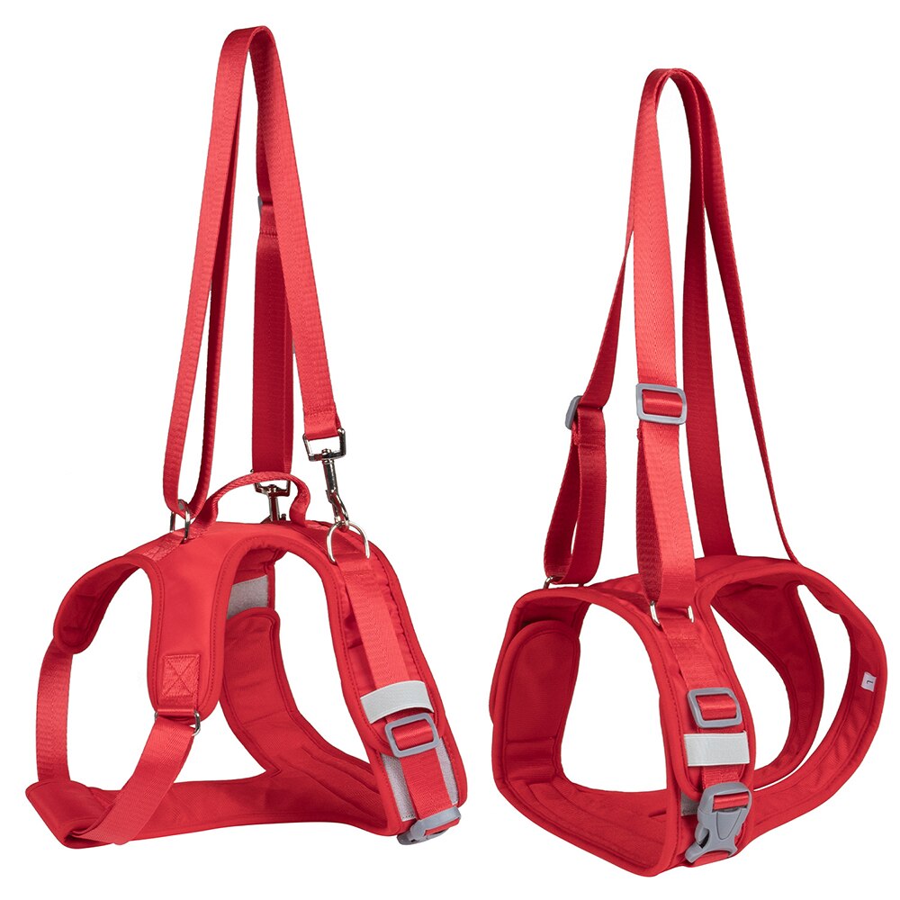 Dog Split Auxiliary Harness & Leash Set Pet Dog Front and Rear Legs Walking Assistance Belt