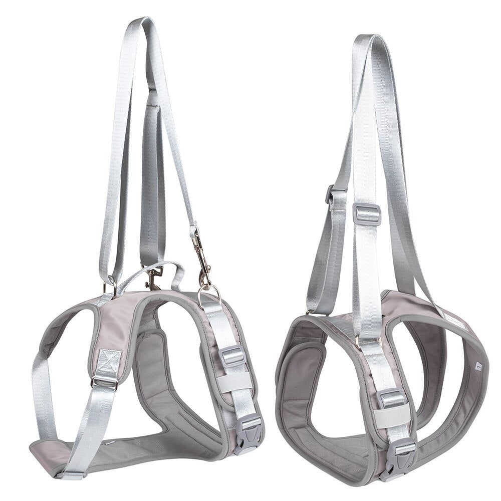 Dog Split Auxiliary Harness & Leash Set Pet Dog Front and Rear Legs Walking Assistance Belt