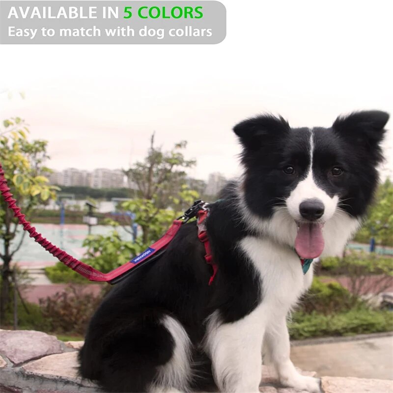 4 in 1 Explosion-proof Dog Leash With Car Safety Clip