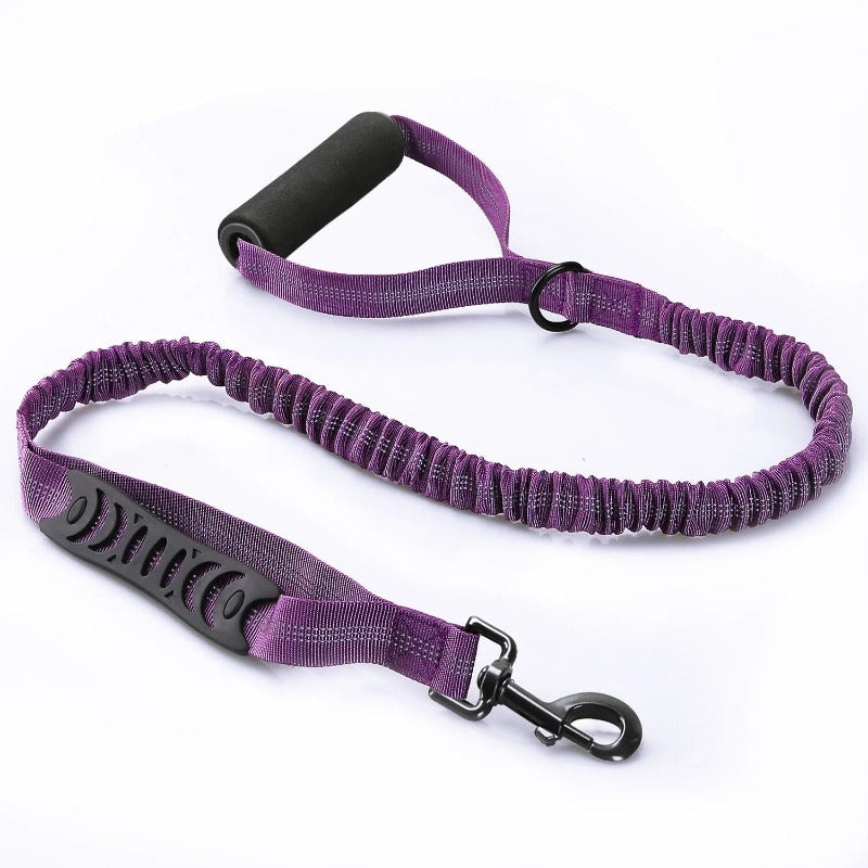 Explosion Proof Punch Large Dog Leash Reflective Elastic Dog Leash With Carabiner