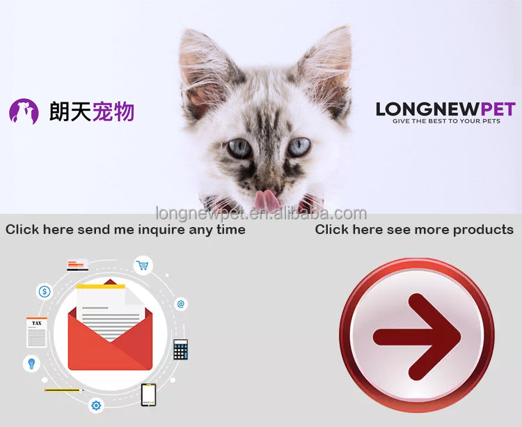 Foldable Colorful Creative Black Dog Glasses Windproof Dog Goggles