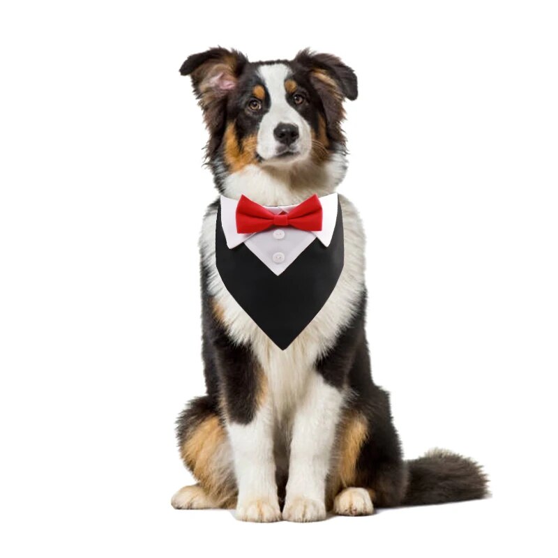 Formal Pet British Wedding Party Suit Scarf Bow Tie Collar Dog Triangle Towel