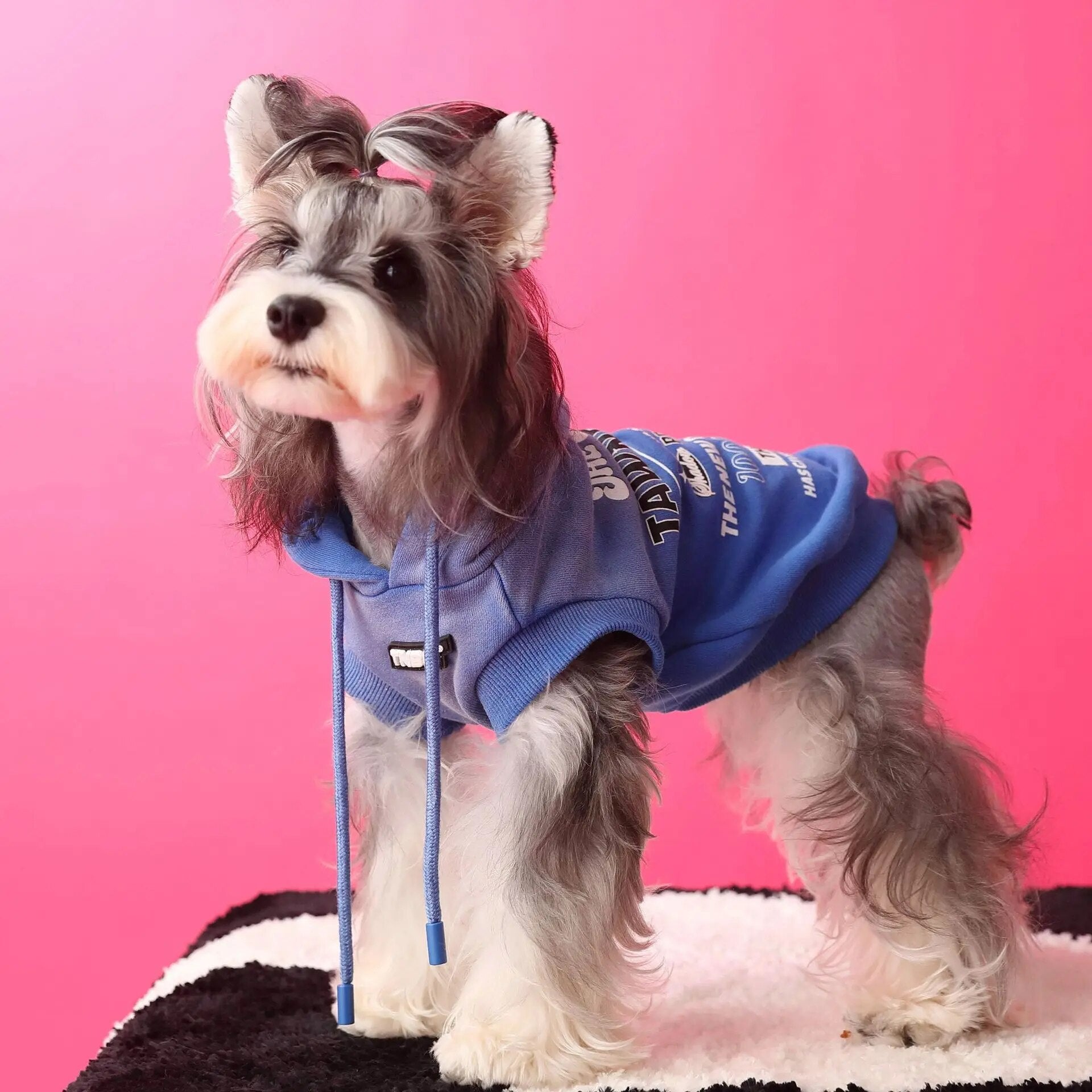 Gradient Color Casual Sleeveless Pet Dog Sweatshirt Winter Dog Warm Hoodie Dog Sweater