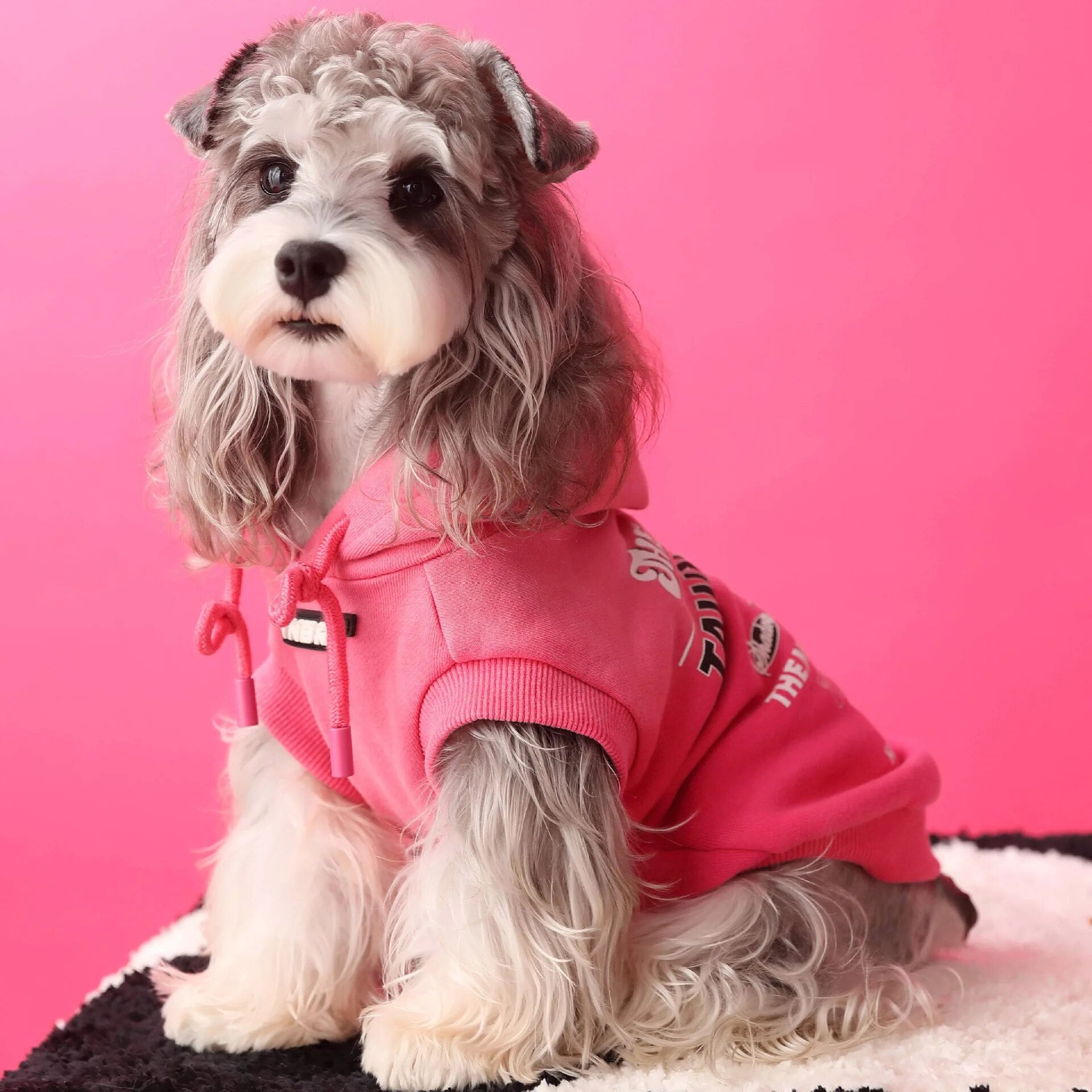 Gradient Color Casual Sleeveless Pet Dog Sweatshirt Winter Dog Warm Hoodie Dog Sweater